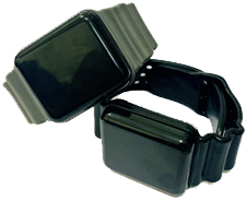 Wearable